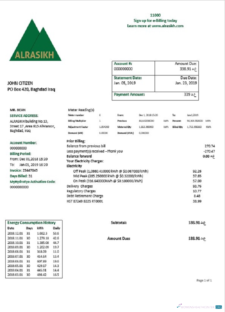 download download Iraq AlRasikh electricity utility bill